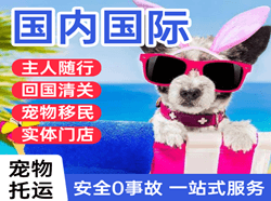 云冈航空快运国际宠物托运 【国